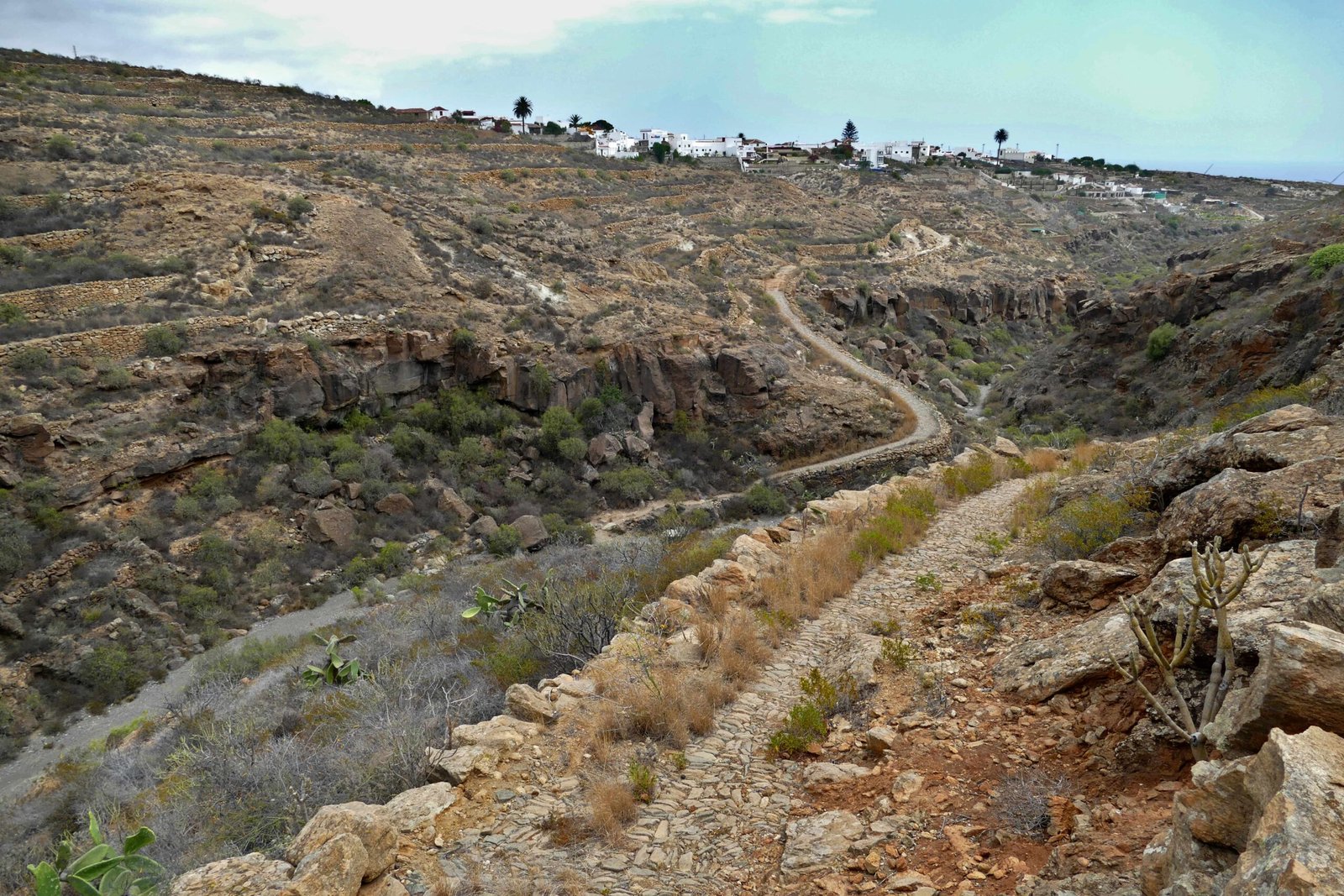 Agenda cultural de Arona: literatura, pintura, música, danza, naturaleza y teatro.