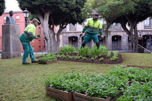 La Laguna embellece las plazas de la ciudad con plantas