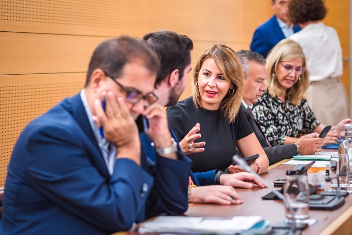 Primer foro de comercio ambulante en Tenerife aborda futuro de regulación en Canarias