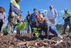 El Cabildo reforesta montes tras incendio de 2023 con 30.000 árboles.