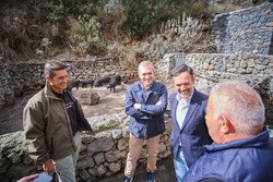 El Cabildo destina 150.000 euros a recuperación de razas ganaderas autóctonas