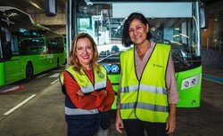 El Cabildo eliminará el polvo de sílice del tranvía en junio de 2025.