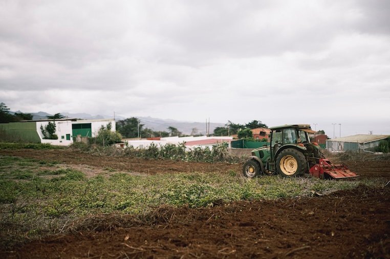 La Laguna promueve la economía circular en el sector primario con un directorio de explotaciones ganaderas