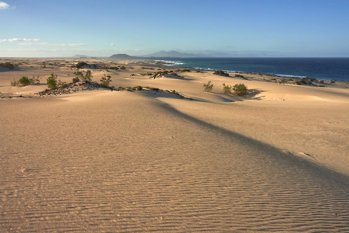 Las Islas Canarias donan 600,000 euros para la restauración del sistema Danubio en Parque Natural Corajo (Fuerteventura)