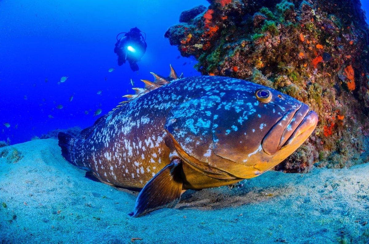 Activa Canarias busca soluciones para el turismo activo en Lanzarote