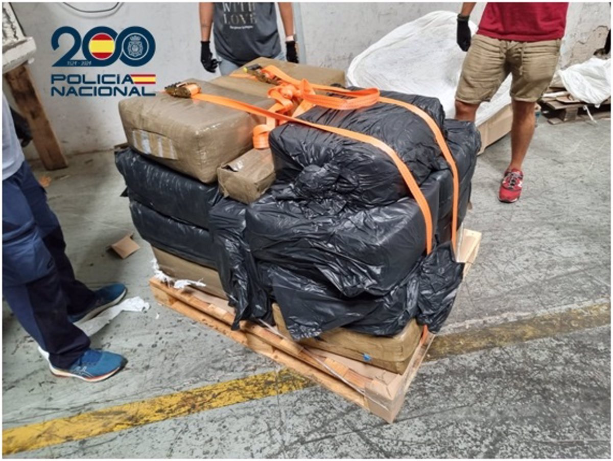 Desarticulada banda de tráfico de drogas en Canarias: 800 kg de hachís incautados y 10 detenidos
