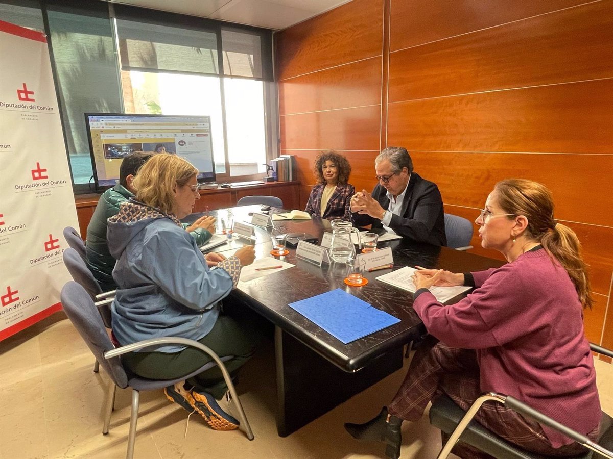 Intersindical Canaria solicita un pacto por la salud ante la Diputada del Común por problemas en sanidad pública