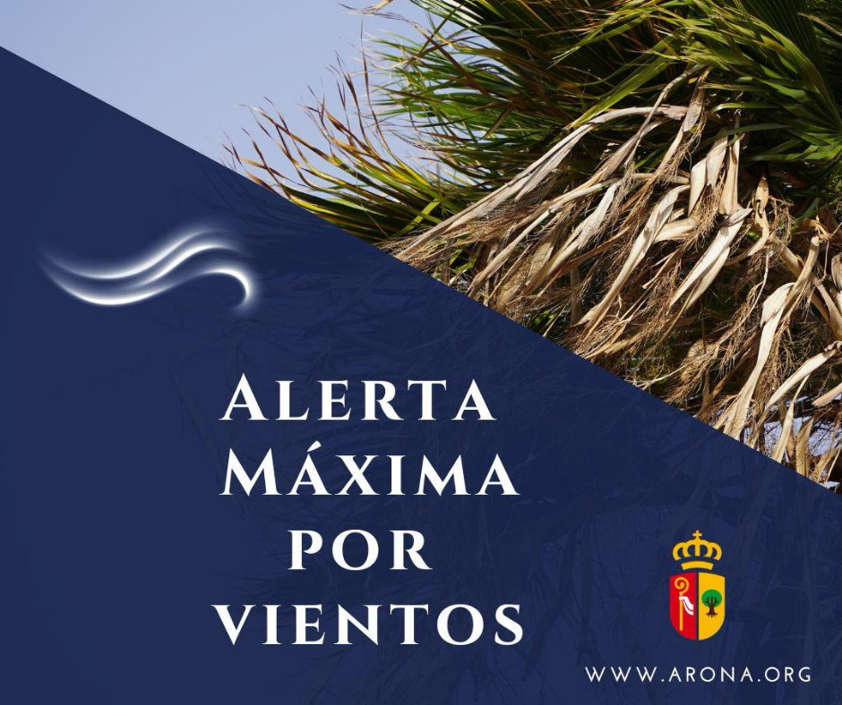 Arona suspende actividades por Alerta Máxima por Vientos