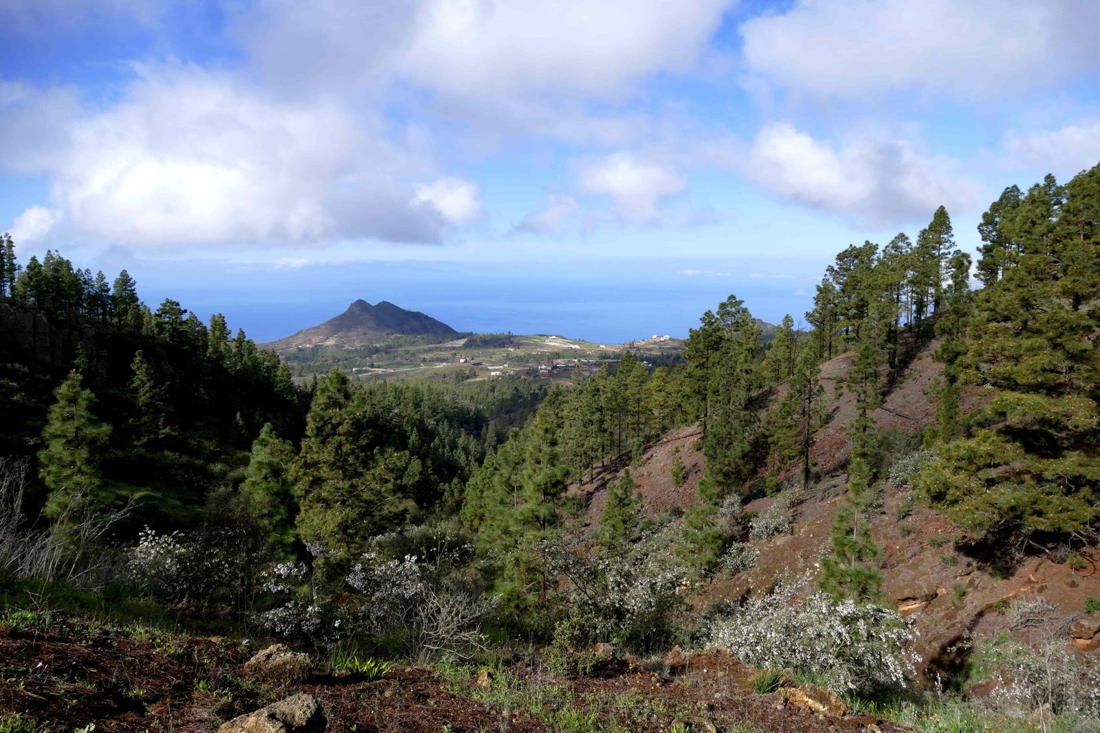 Arona despide abril con una agenda cultural variada.
