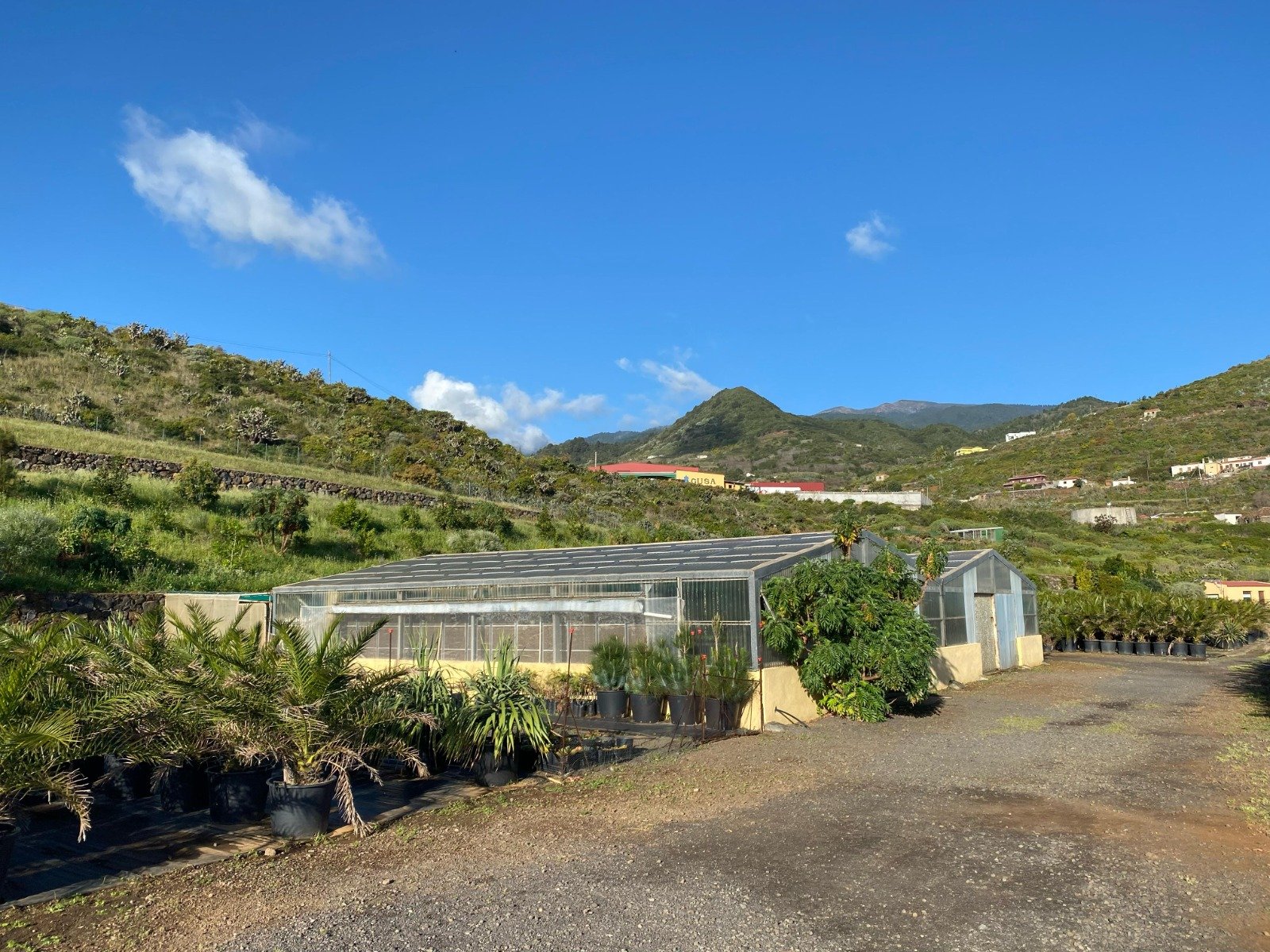 El Cabildo de La Palma invierte en mejorar el Vivero de Flora Autóctona y el Centro de Rehabilitación de Fauna Silvestre