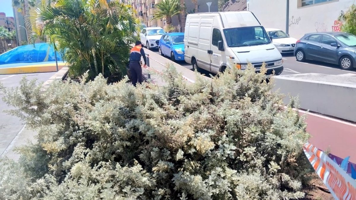 Más de 100 incidencias atendidas en Tenerife por la alerta máxima de la borrasca ‘Nuria’