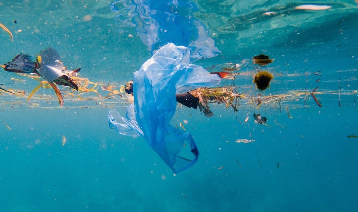 Origen de la basura marina en Reservas de la Biosfera de Canarias