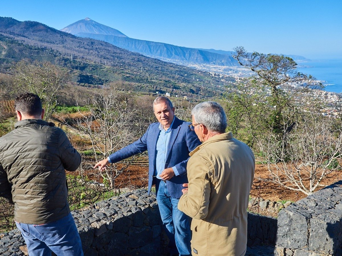 Tenerife impulsa proyecto de cultivo sostenible de pitaya para diversificar producciones agrícolas.