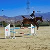 El Centro Hípico del Sur acoge la celebración del Campeonato de Canarias de Salto de Obstáculos y Concurso Nacional de Salto ** Arona - Playa de las Américas