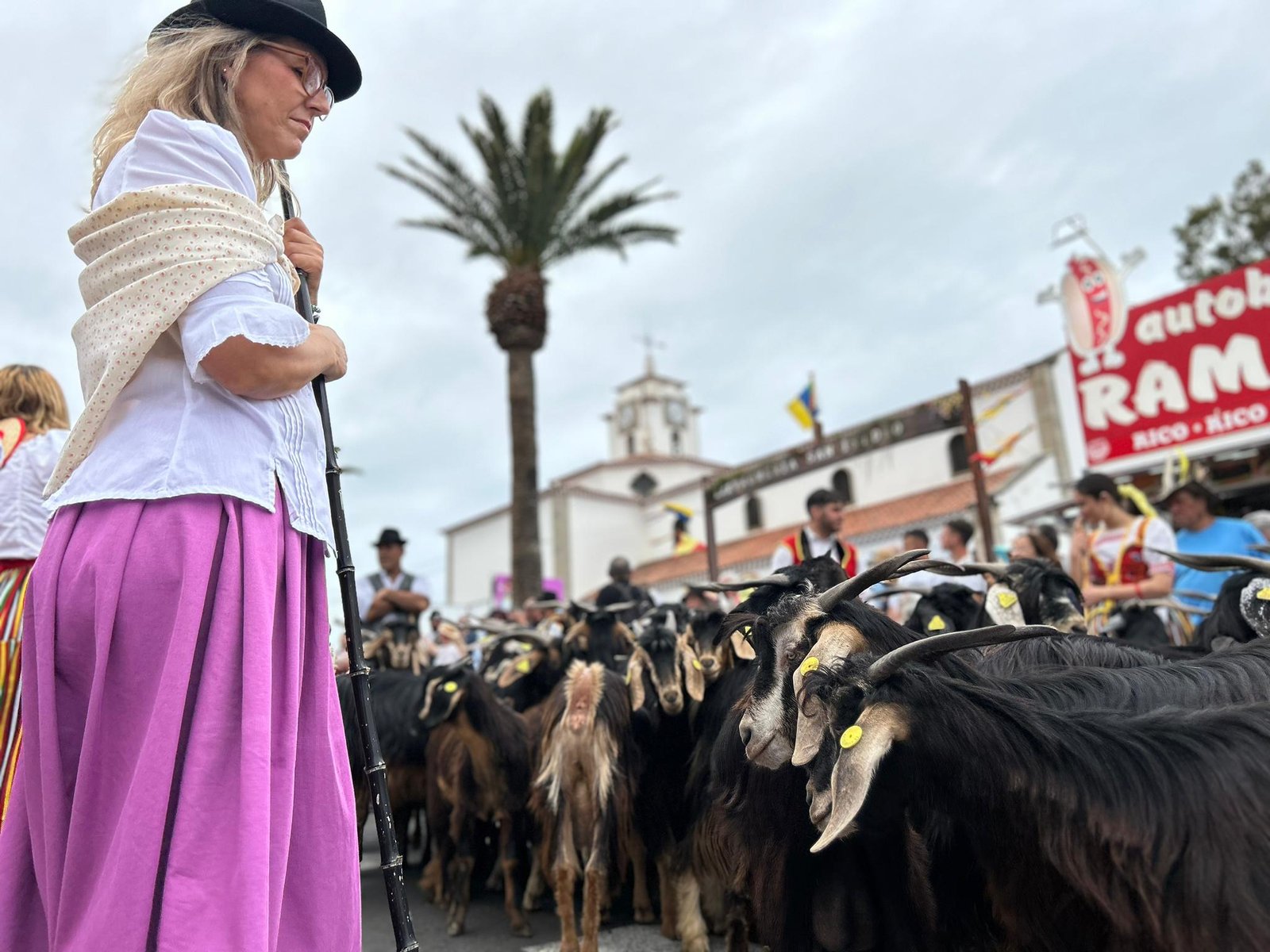 Romerías de Valle de Guerra y San Matías en La Laguna