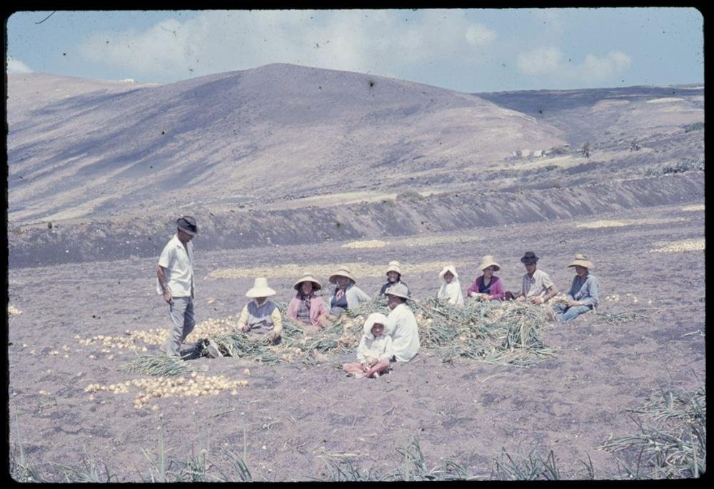 Cabildo de Lanzarote y Los Campesinos lanzan campaña de recuperación de la memoria campesina