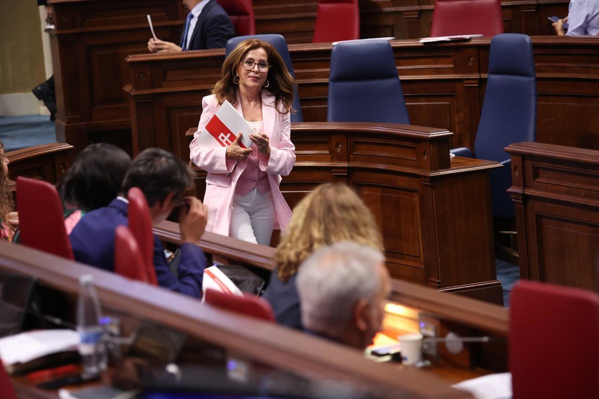 Diputada del Común urge a Sanidad a intervenir en organización del HUC: «Es indigno»
