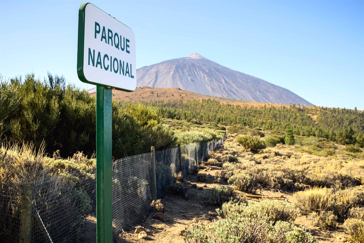 El Cabildo de Tenerife celebra suspensión de protesta en el Teide