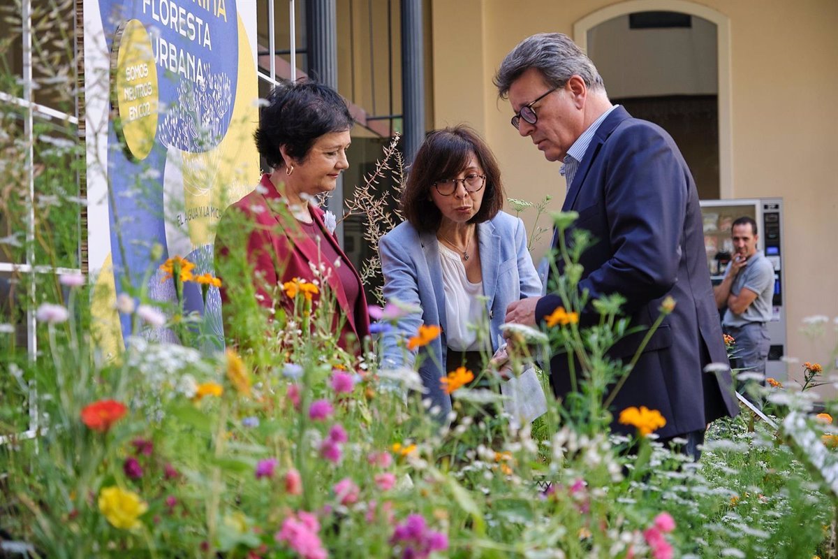 El festival ‘Plantarina, floresta urbana’ regresa a Tenerife este junio para «reverdecer» el paisaje urbano