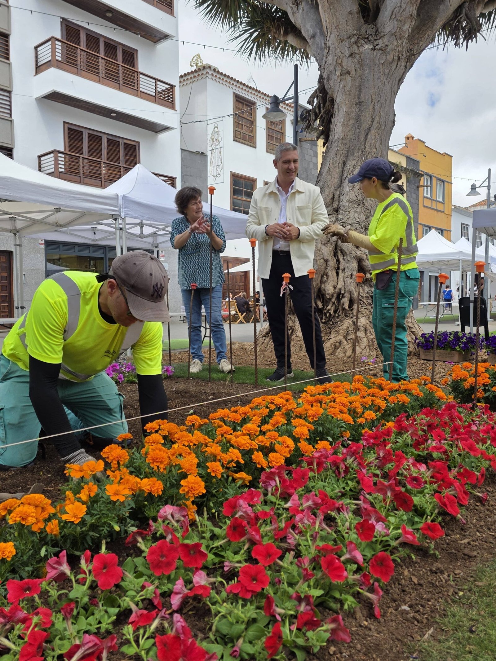 La Laguna viste de colores del Orgullo la plaza de la Concepción