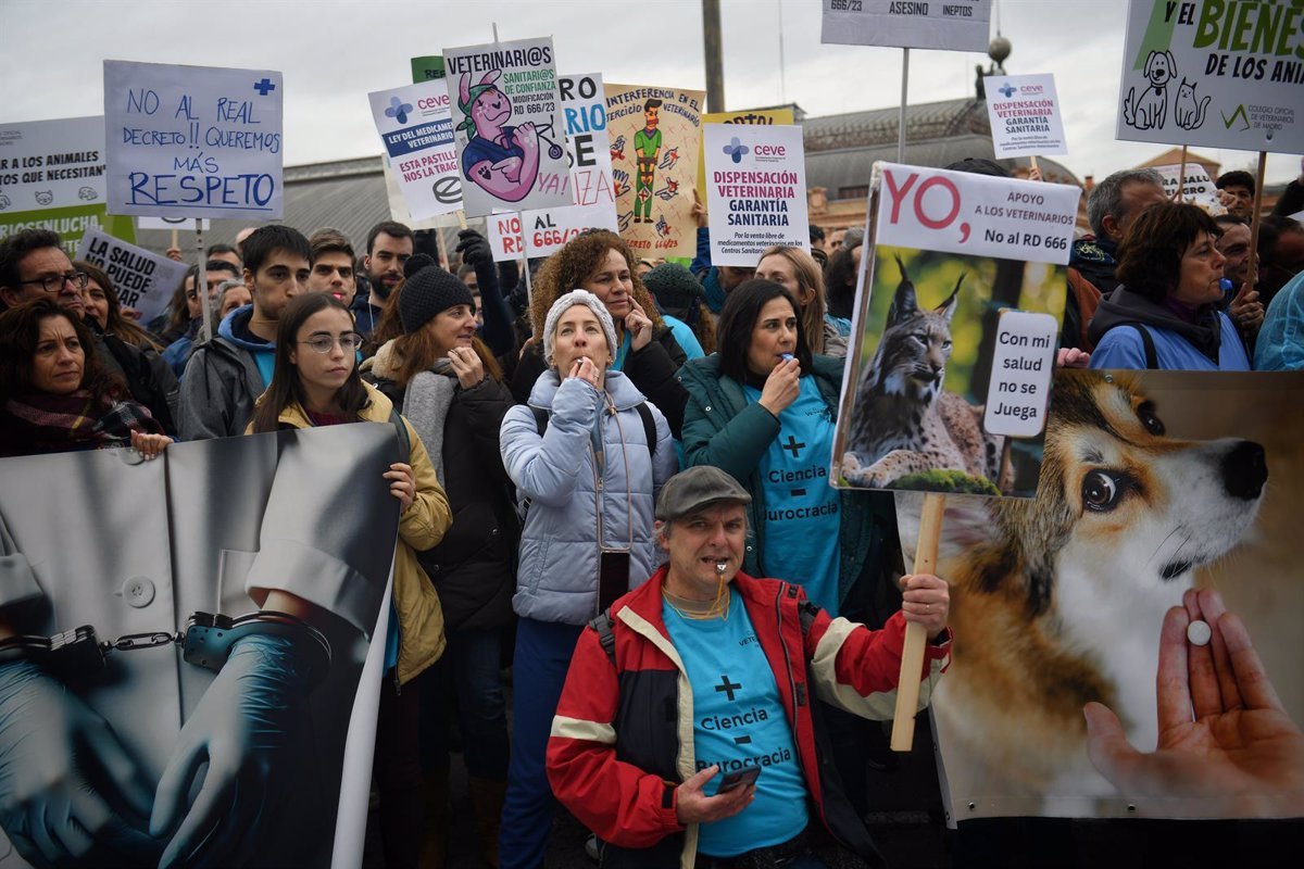 Veterinarians protest across Spain against Veterinary Medicine Law.