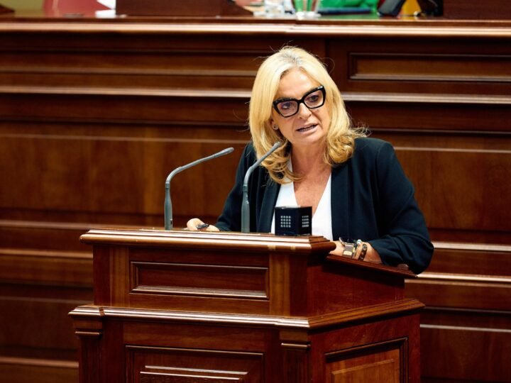 Balance de gestión de la consejera de Sanidad del Gobierno de Canarias