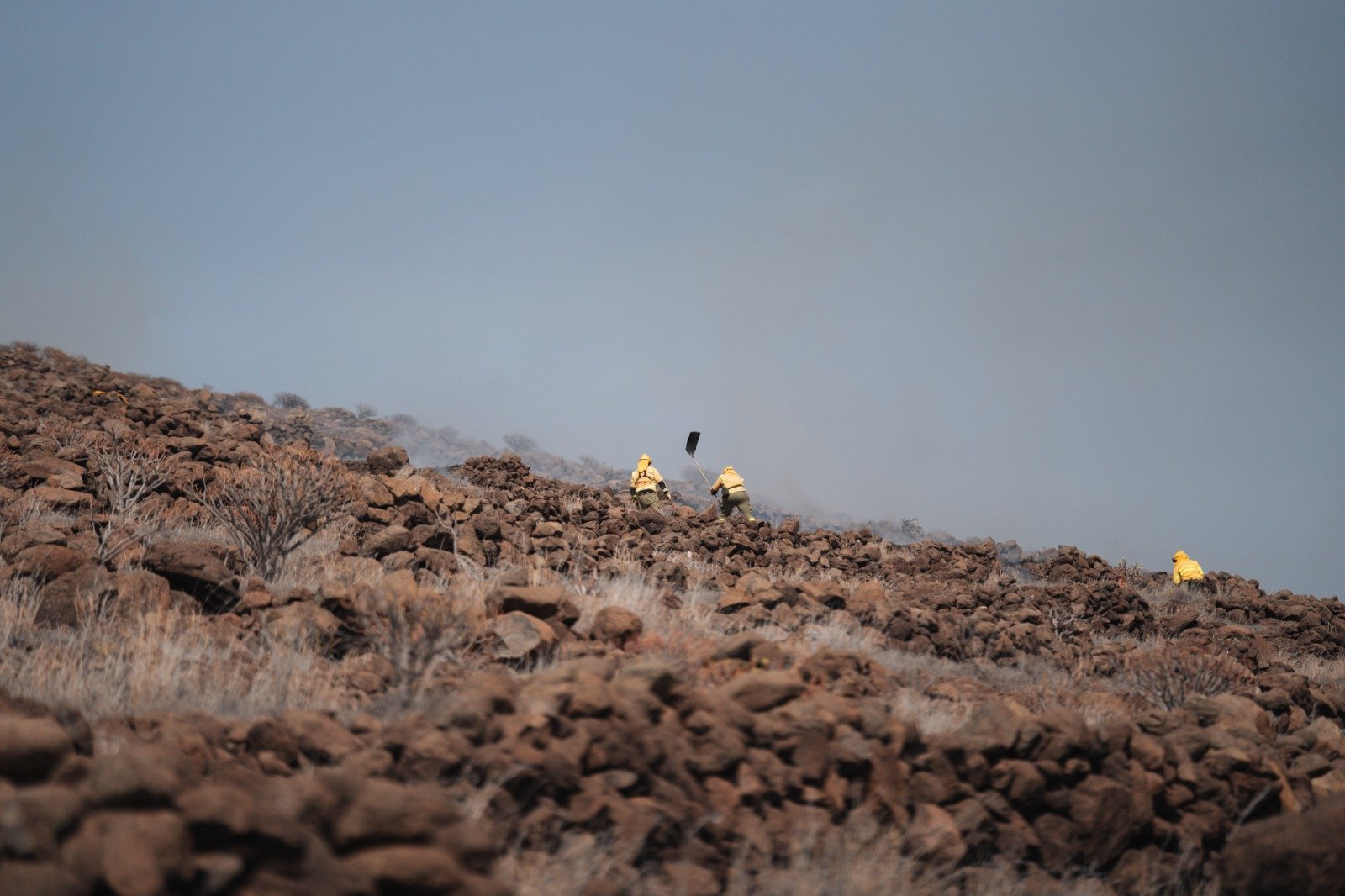 El Cabildo de La Gomera aplica medidas preventivas por riesgo de incendios forestales
