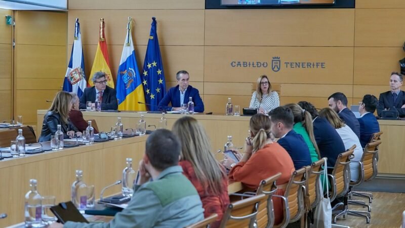 El Cabildo de Tenerife se compromete a actualizar el Heliodoro frente a críticas.