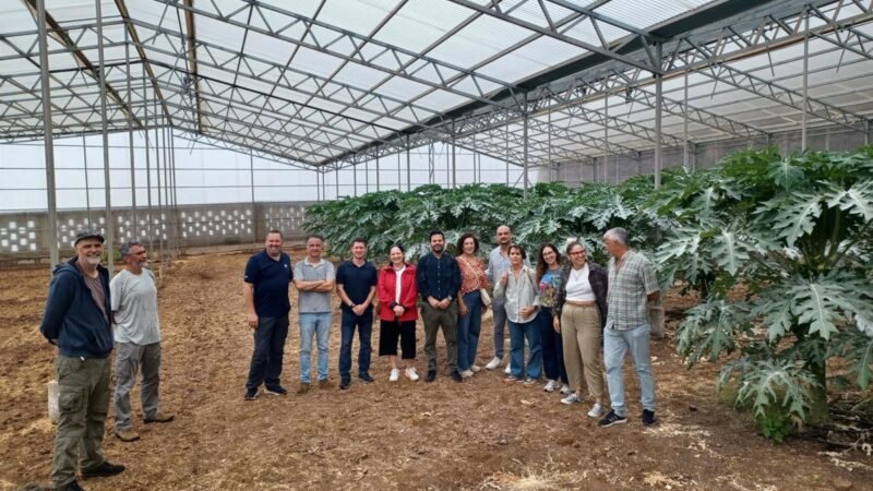 El Gobierno canario y la ULL colaborarán en formación agraria.