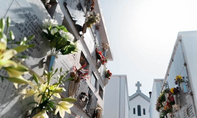 La Laguna inicia proceso para nuevos cementerios en Tejina y Valle de Guerra