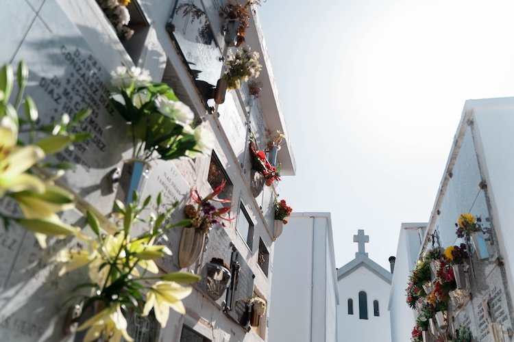La Laguna inicia proceso para nuevos cementerios en Tejina y Valle de Guerra