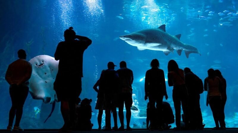 Poema del Mar: Reconocido por Tripadvisor por cuarto año consecutivo