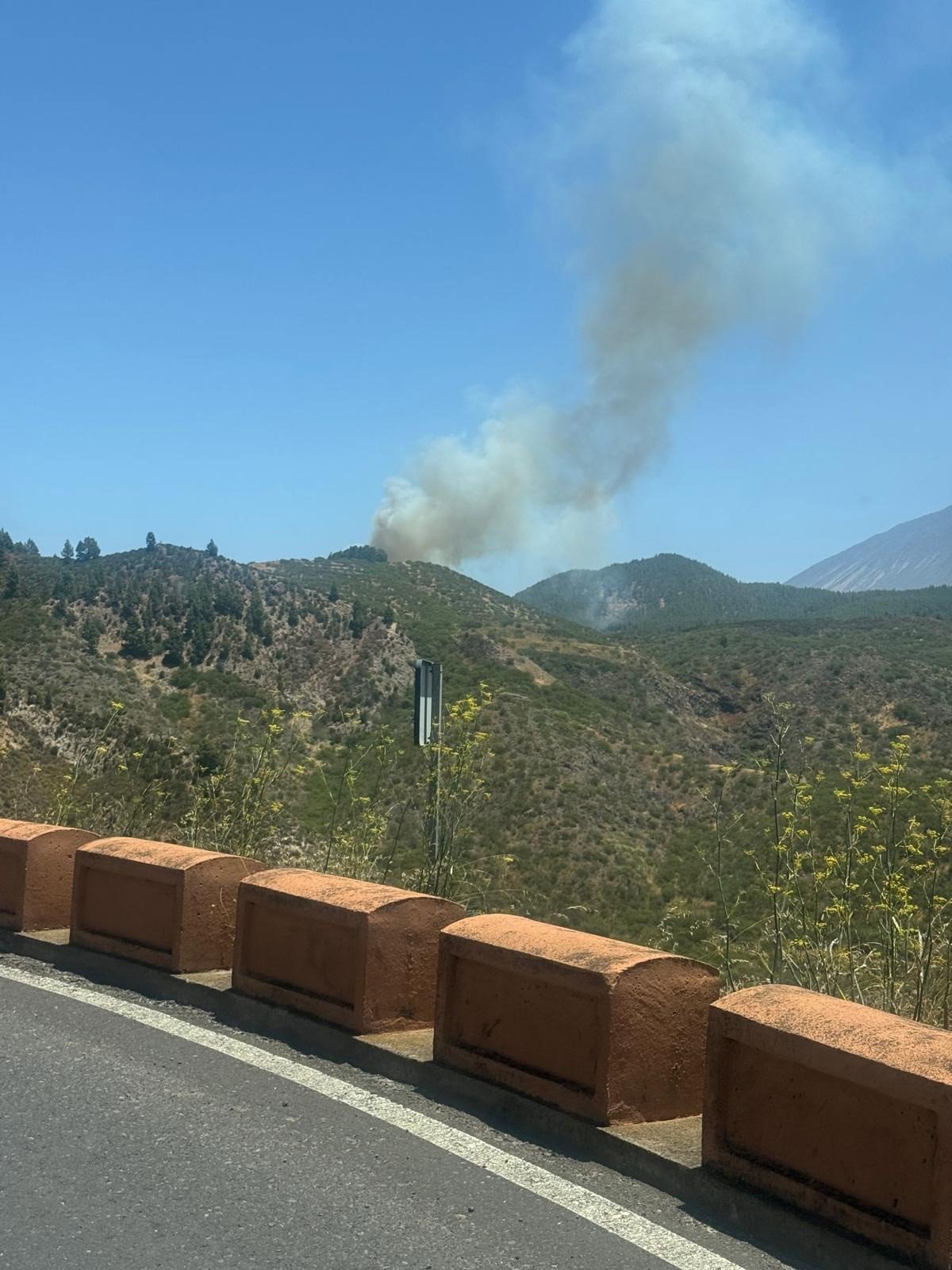 Trabajan ocho medios aéreos y efectivos terrestres en extinguir incendio en El Tanque (Tenerife)