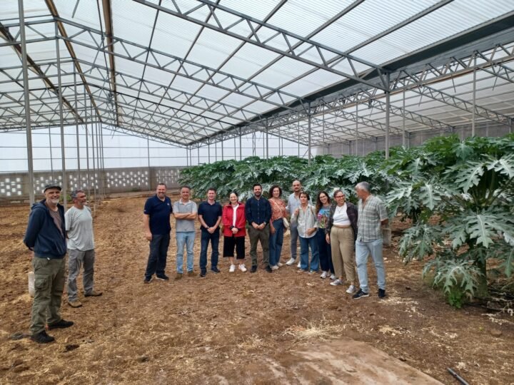 Visita a Escuela de Capacitación Agraria de Tacoronte para impulsar formación especializada en el sector agrario.