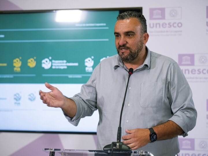 Actividad de voluntariado ambiental centrada en los murciélagos de Tenerife.