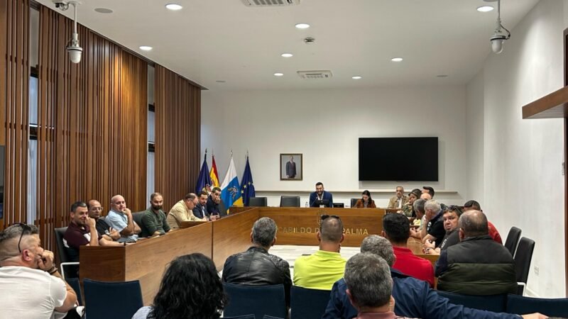 Aumento de taxis adaptados en La Palma mediante colaboración con ayuntamientos