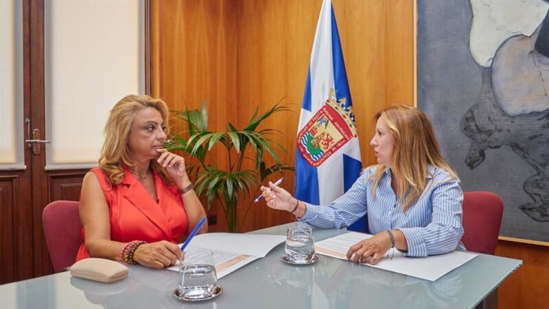 CC urge a Canarias en cogestión de aeropuertos y critica falta de información en español