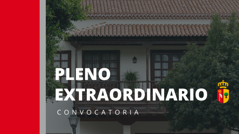 Convocatoria Extraordinaria del Pleno el día 06 de Febrero de 2024 en Arona.