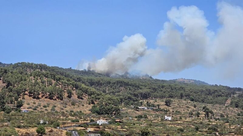 Dos incendios forestales se declaran en El Hierro, con más medios en la extinción.