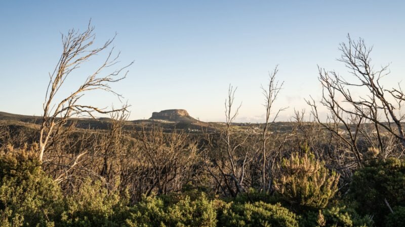 El Cabildo de La Gomera reduce medidas preventivas por incendios forestales