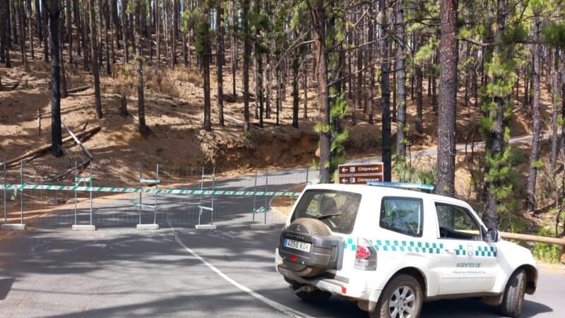 El Cabildo de Tenerife cierra carreteras por riesgo de incendio.