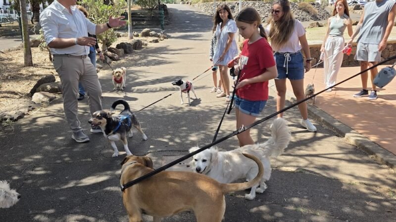 La Laguna inaugura nuevo parque canino en urbanización César Manrique