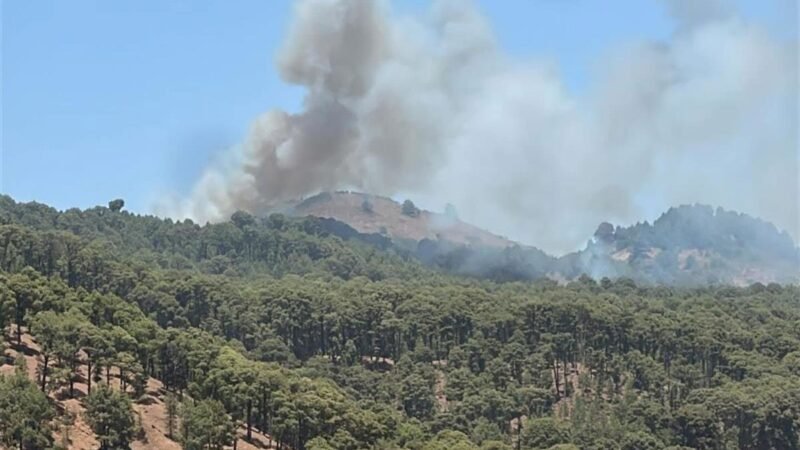 Segundo conato de incendio extinguido en El Hierro y foco principal en Las Asomadas estabilizado.