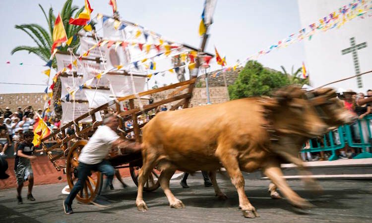 Carrera de barcos en honor a Nuestra Señora de Fátima en Valle Jiménez revive con gran emoción