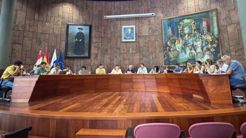 El Cabildo de La Gomera muestra solidaridad con Palestina