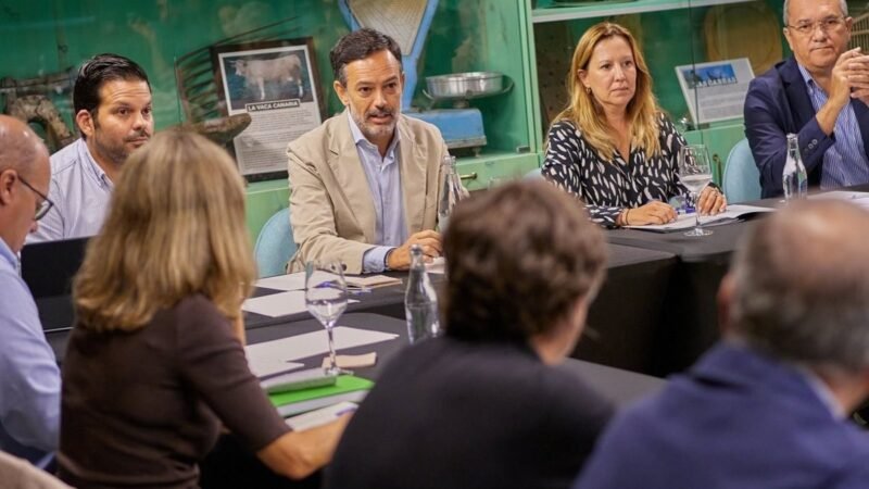 El Cabildo de Tenerife crea comisión para analizar plaga de filoxera en la isla