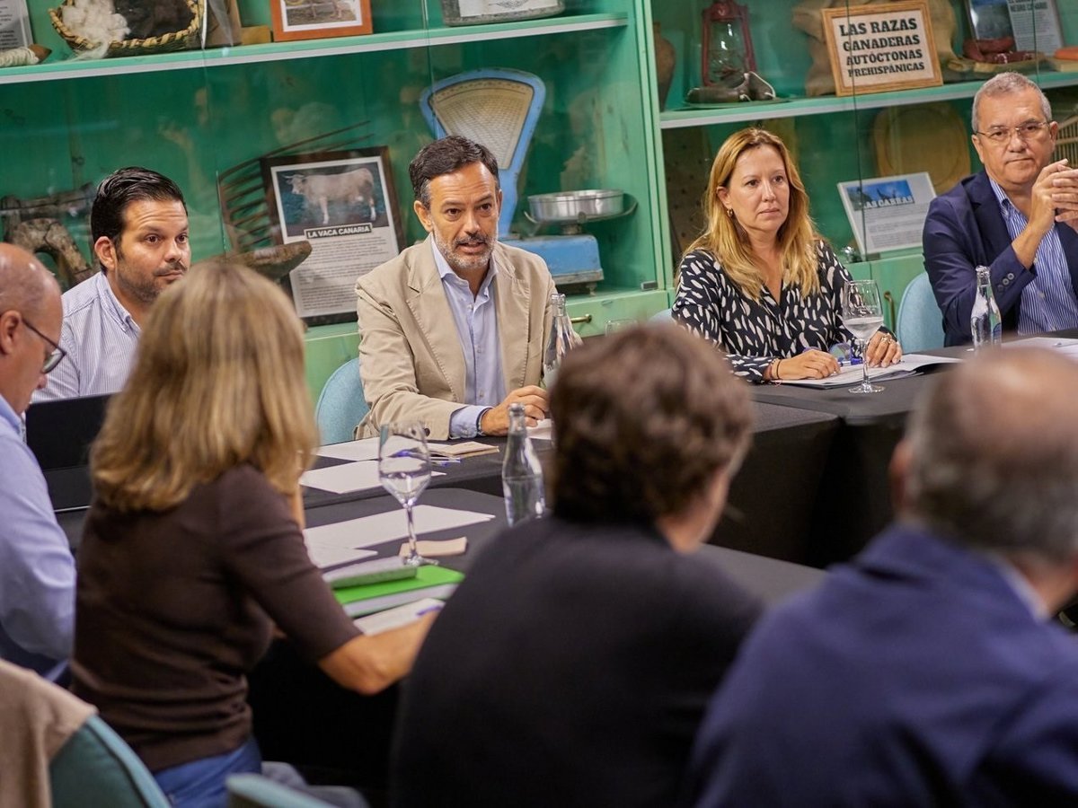 El Cabildo de Tenerife crea comisión para analizar plaga de filoxera en la isla