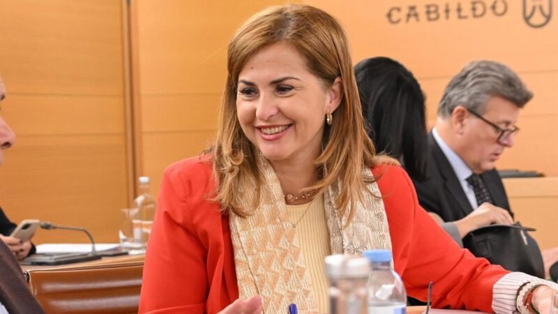 El Cabildo de Tenerife destina 150.000 euros en ayudas para centros de menores
