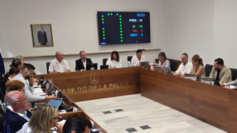 El Cabildo solicita modificar Ley de Contratos para recuperación tras desastres naturales.