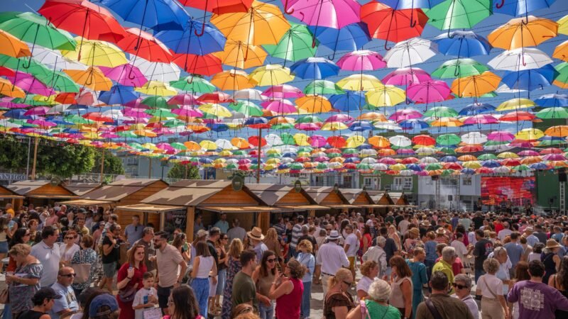 Éxito de la II Feria Insular de Gastronomía Saborea La Palma: Satisfacción de productores y restauradores.